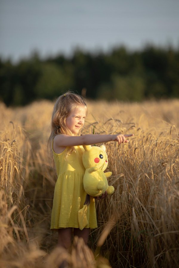 Découvrez les peluches pokémon qui vont vous séduire !